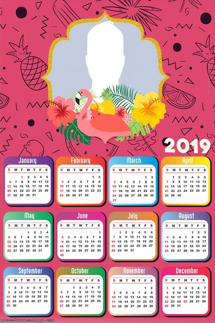 Pink Flamingo Calendar 2019