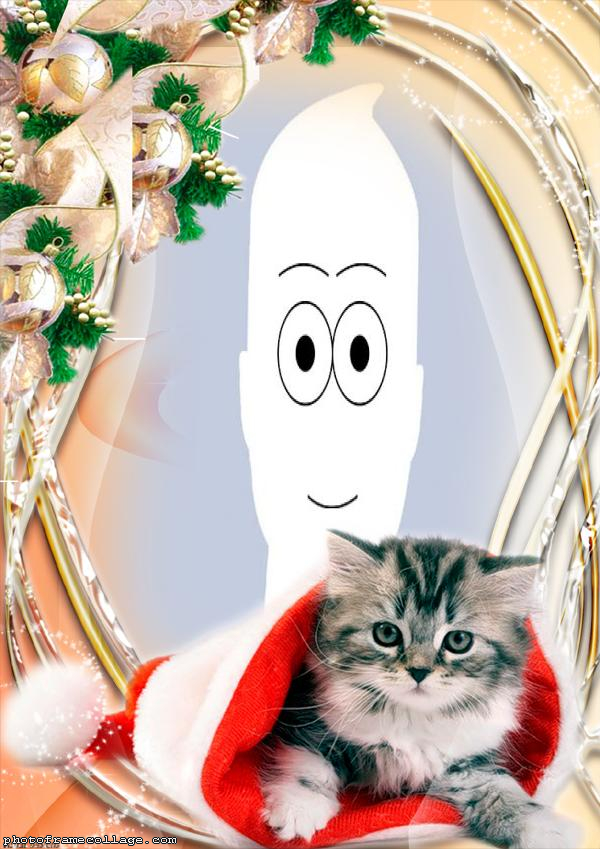 Cat in Santa Claus Hat Picture