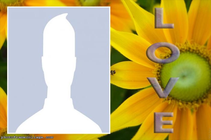 Sunflower Love Collage