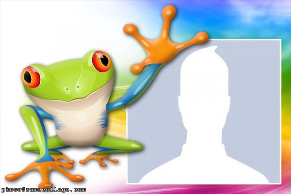 Colorful Toad Photo Collage