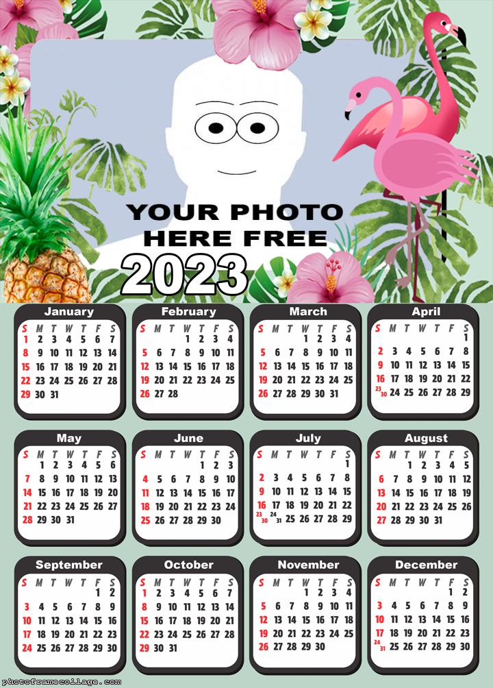 Calendar 2023 Flamingo Bird