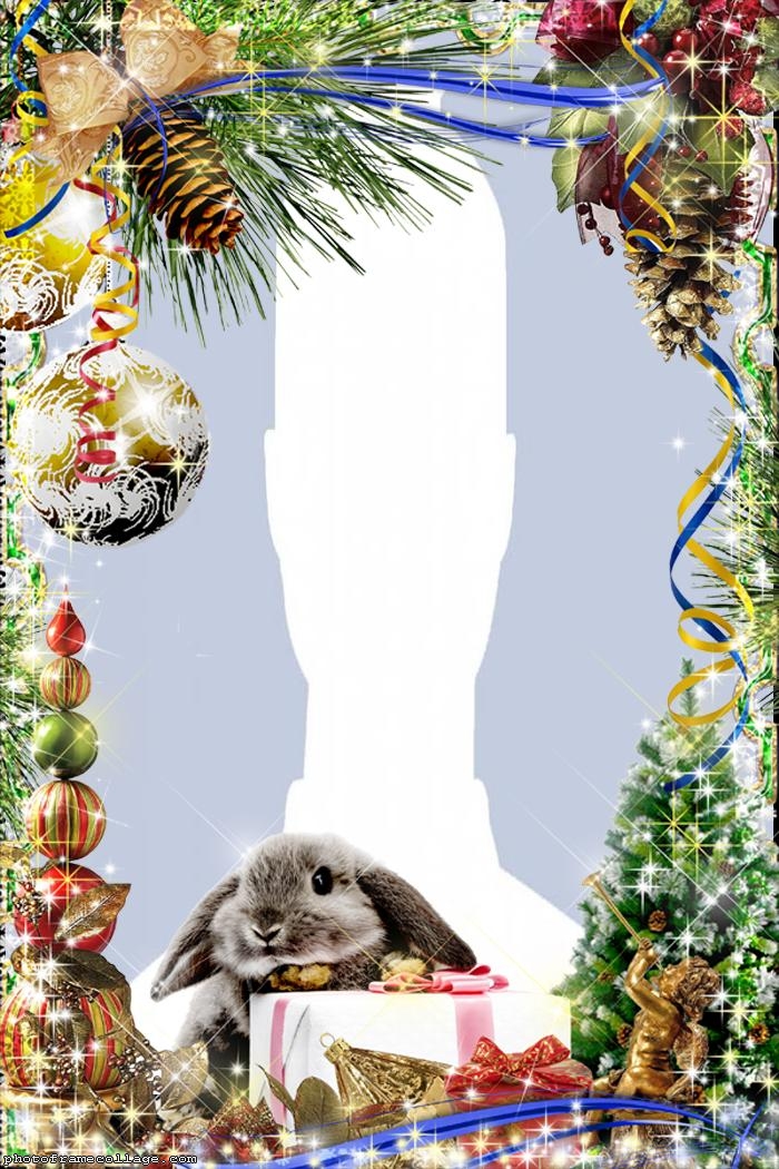 Christmas Rabbit Photo Collage