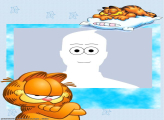 Picture Frame Collage Garfield Sleeping