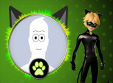 Cat Noir Picture Frame Collage