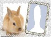 Easter Bunny Frame Online