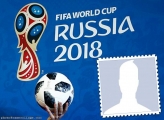 Official Ball Cup Russia Frame